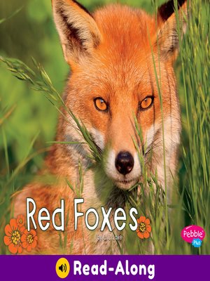cover image of Red Foxes